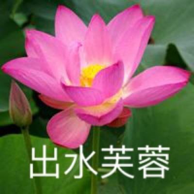 华为游戏空间最新版本app下载